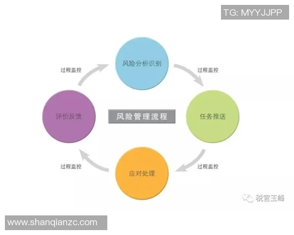 跨国比赛中的税收政策差异与税务优化策略探讨